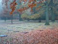 war cemetary WW1