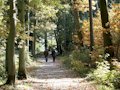 sentier de promenade