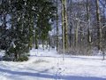 promenades en hiver